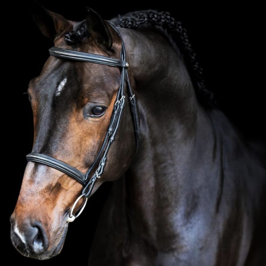 Brunetti Z Image